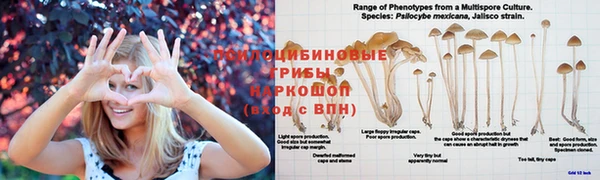 альфа пвп Беломорск
