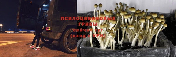 ешки Белоозёрский