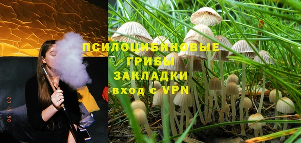 крисы Белокуриха