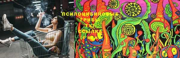альфа пвп Беломорск