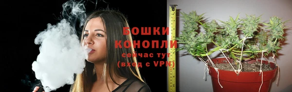 крисы Белокуриха