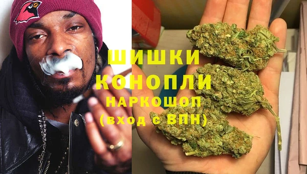 крисы Белокуриха