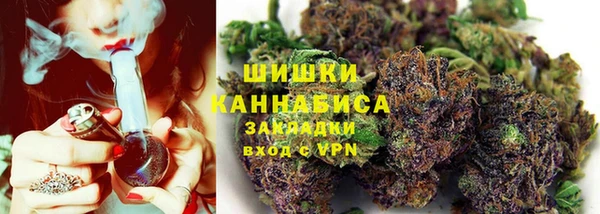 крисы Белокуриха