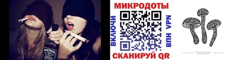 Псилоцибиновые грибы Psilocybine cubensis  Болхов 